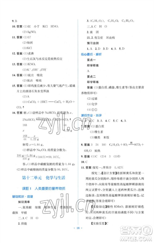 人民教育出版社2023人教金学典同步解析与测评学考练九年级化学下册人教版参考答案 人民教育出版社2023人教金学典同步解析与测评学考练九年级化学下册人教版参考答案