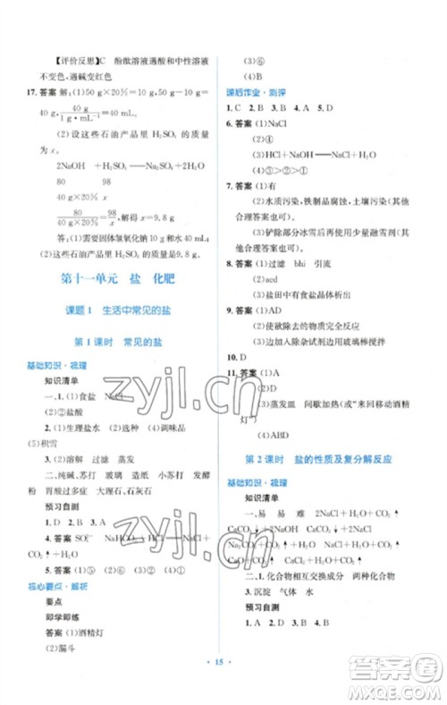 人民教育出版社2023人教金学典同步解析与测评学考练九年级化学下册人教版参考答案
