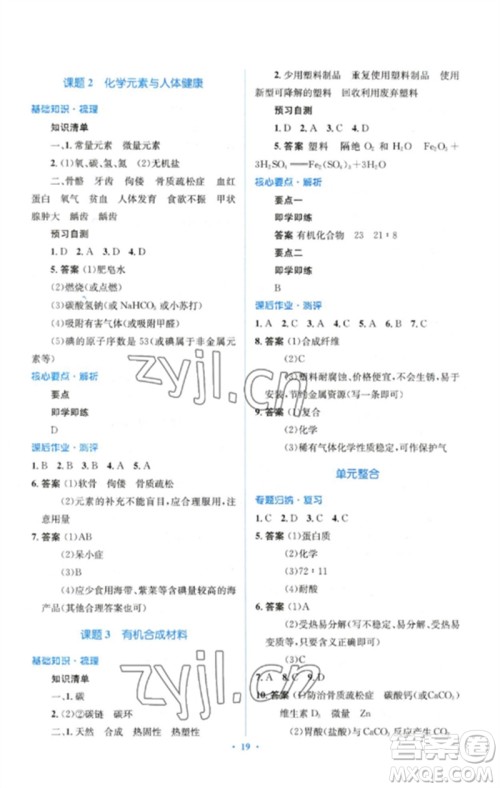 人民教育出版社2023人教金学典同步解析与测评学考练九年级化学下册人教版参考答案