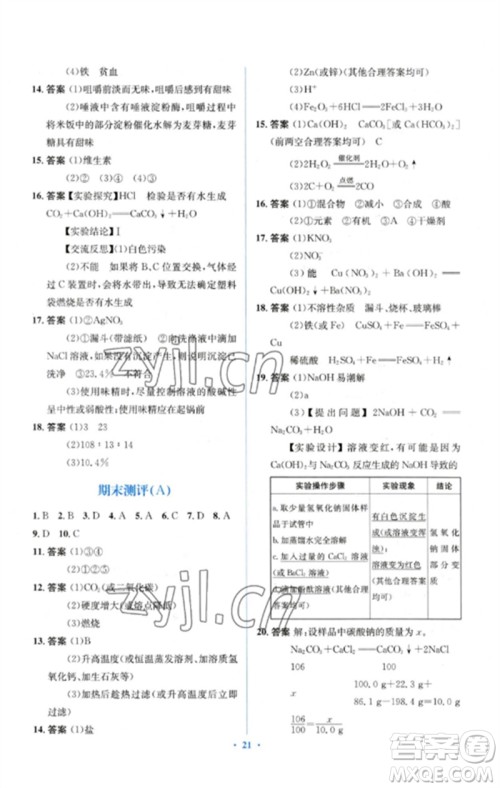 人民教育出版社2023人教金学典同步解析与测评学考练九年级化学下册人教版参考答案 人民教育出版社2023人教金学典同步解析与测评学考练九年级化学下册人教版参考答案