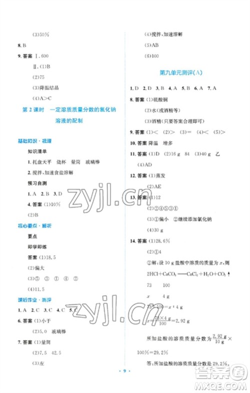 人民教育出版社2023人教金学典同步解析与测评学考练九年级化学下册人教版广东专版参考答案