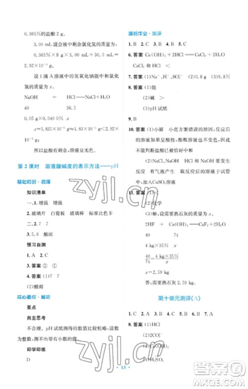 人民教育出版社2023人教金学典同步解析与测评学考练九年级化学下册人教版广东专版参考答案