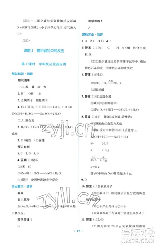 人民教育出版社2023人教金学典同步解析与测评学考练九年级化学下册人教版广东专版参考答案