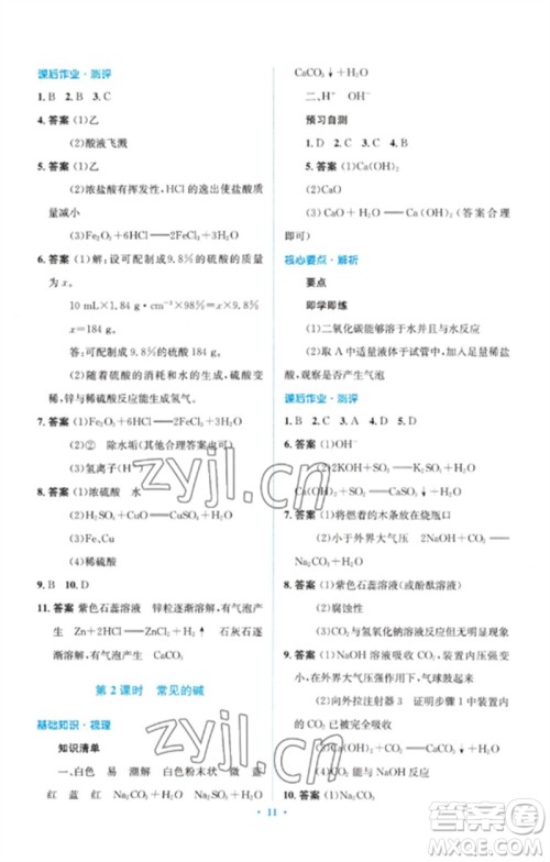 人民教育出版社2023人教金学典同步解析与测评学考练九年级化学下册人教版广东专版参考答案