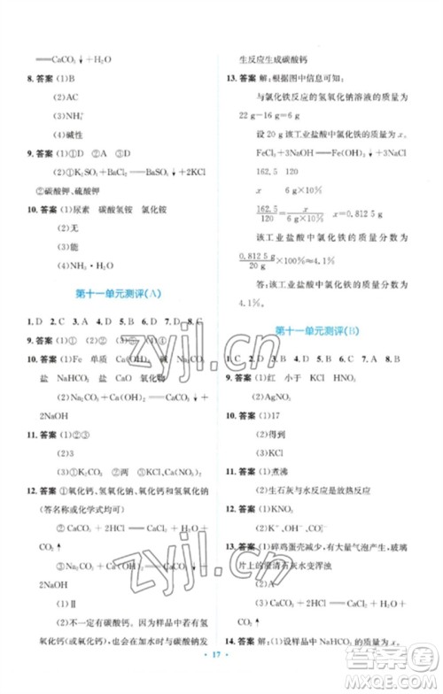 人民教育出版社2023人教金学典同步解析与测评学考练九年级化学下册人教版广东专版参考答案