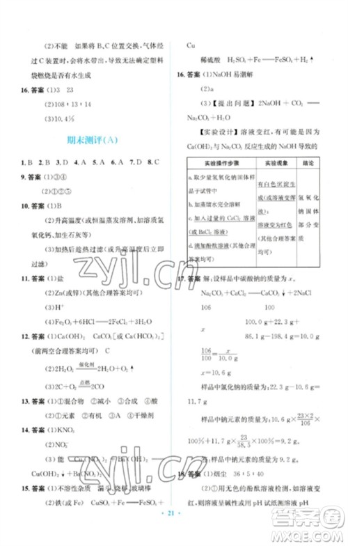 人民教育出版社2023人教金学典同步解析与测评学考练九年级化学下册人教版广东专版参考答案