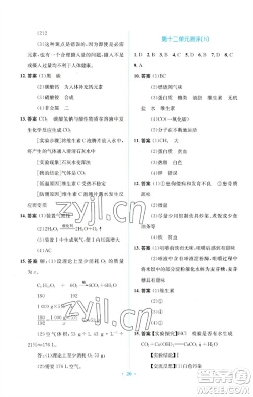 人民教育出版社2023人教金学典同步解析与测评学考练九年级化学下册人教版广东专版参考答案