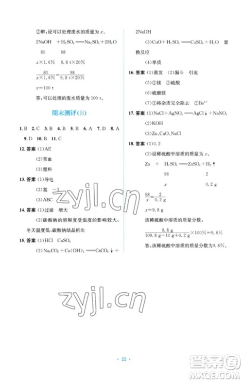 人民教育出版社2023人教金学典同步解析与测评学考练九年级化学下册人教版广东专版参考答案