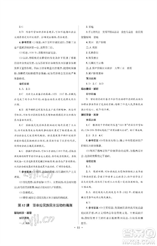 人民教育出版社2023人教金学典同步解析与测评学考练九年级世界历史下册人教版江苏专版参考答案