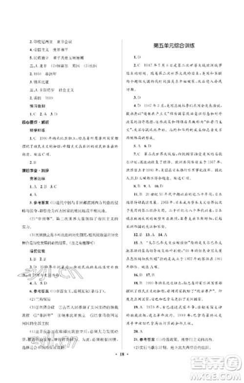 人民教育出版社2023人教金学典同步解析与测评学考练九年级世界历史下册人教版江苏专版参考答案