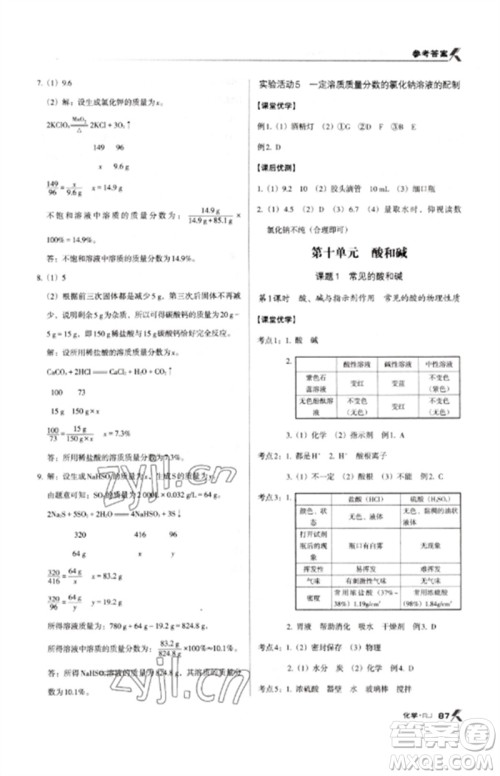 广东经济出版社2023全优点练课计划九年级化学下册人教版参考答案