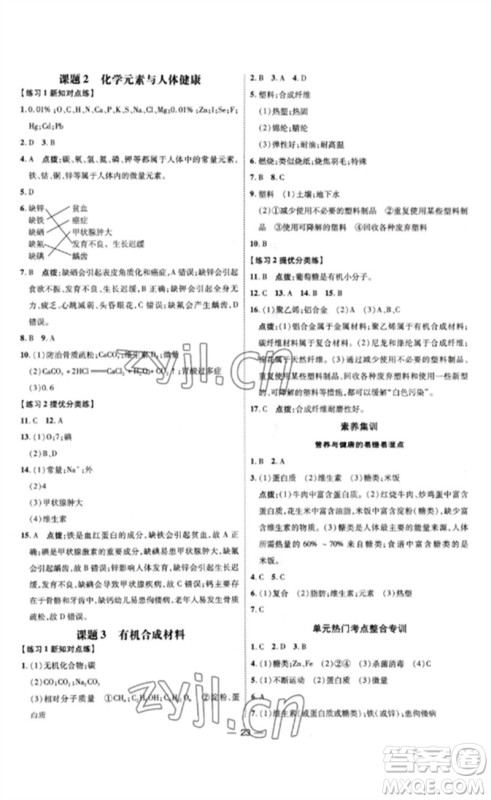 吉林教育出版社2023点拨训练九年级化学下册人教版参考答案 吉林教育出版社2023点拨训练九年级化学下册人教版参考答案