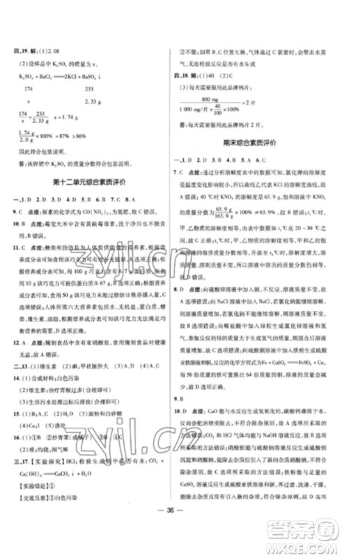 吉林教育出版社2023点拨训练九年级化学下册人教版参考答案