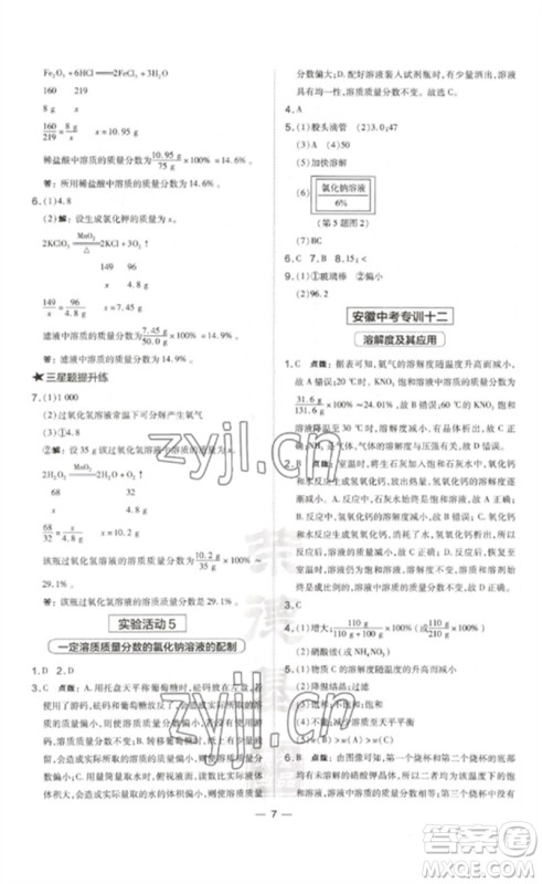 安徽教育出版社2023点拨训练九年级化学下册人教版安徽专版参考答案