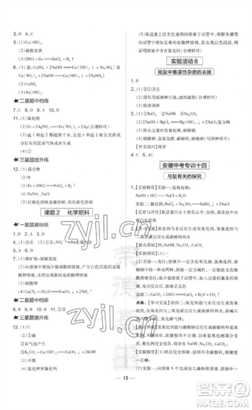 安徽教育出版社2023点拨训练九年级化学下册人教版安徽专版参考答案