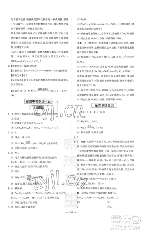 安徽教育出版社2023点拨训练九年级化学下册人教版安徽专版参考答案