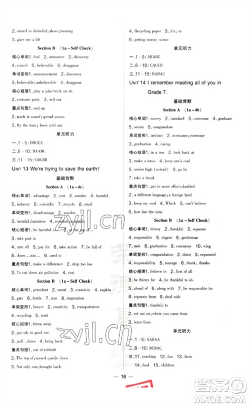 吉林教育出版社2023点拨训练九年级英语下册人教版参考答案 吉林教育出版社2023点拨训练九年级英语下册人教版参考答案