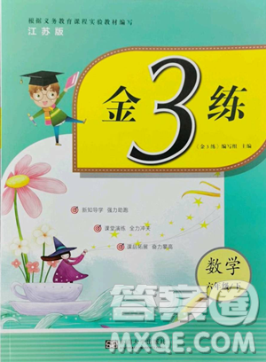 东南大学出版社2023金3练六年级下册数学江苏版参考答案