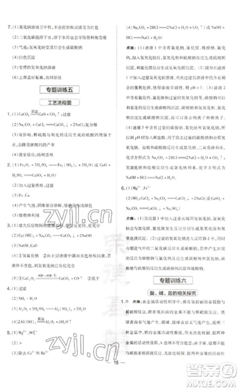 山西教育出版社2023点拨训练九年级化学下册沪教版参考答案