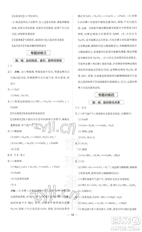 山西教育出版社2023点拨训练九年级化学下册沪教版参考答案