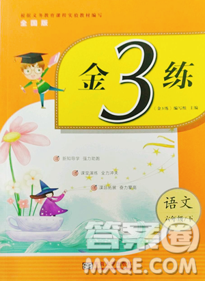 东南大学出版社2023金3练六年级下册语文全国版参考答案