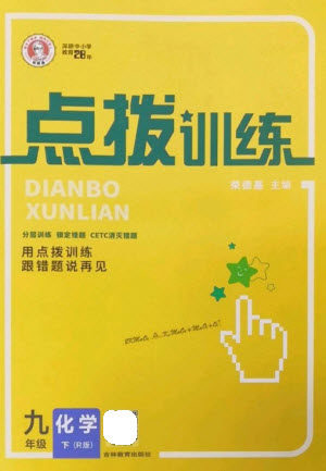 吉林教育出版社2023点拨训练九年级化学下册人教版参考答案 吉林教育出版社2023点拨训练九年级化学下册人教版参考答案