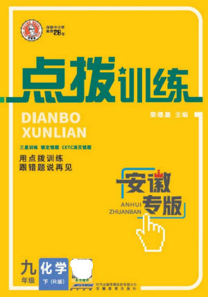 安徽教育出版社2023点拨训练九年级化学下册人教版安徽专版参考答案