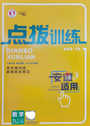 山西教育出版社2023点拨训练九年级数学下册沪科版安徽专版参考答案