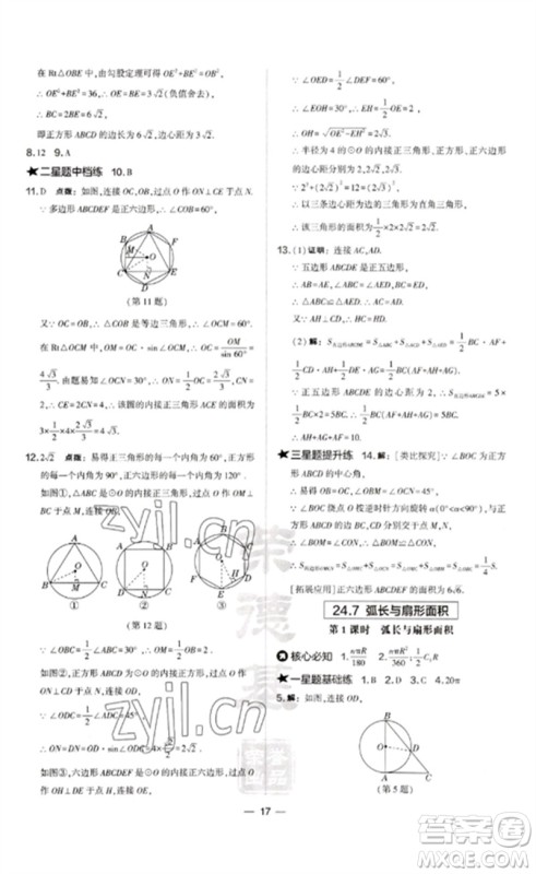 山西教育出版社2023点拨训练九年级数学下册沪科版安徽专版参考答案