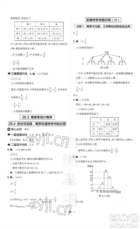 山西教育出版社2023点拨训练九年级数学下册沪科版安徽专版参考答案