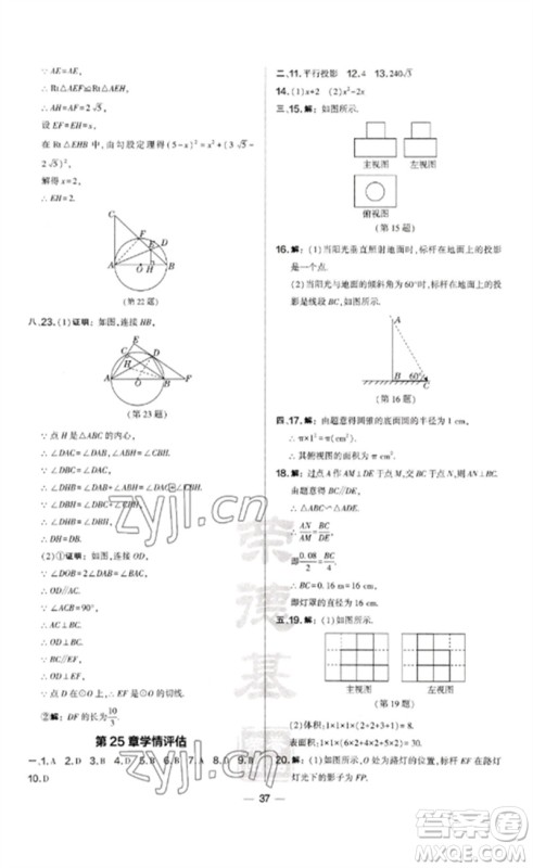 山西教育出版社2023点拨训练九年级数学下册沪科版安徽专版参考答案