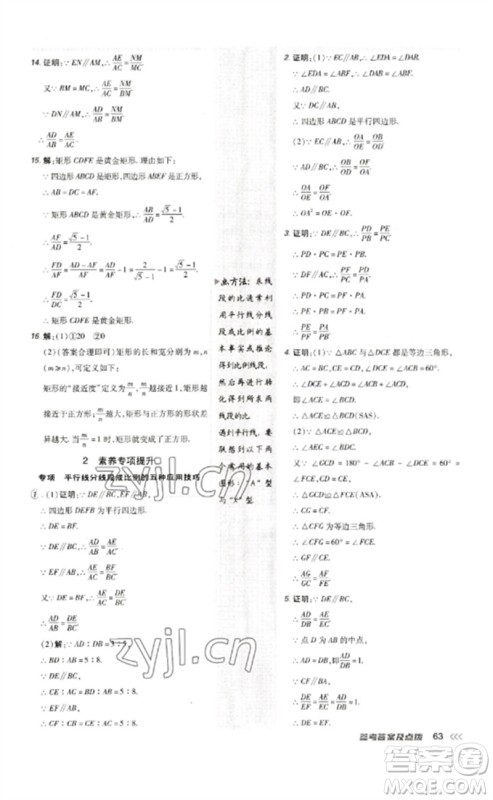 吉林教育出版社2023点拨训练九年级数学下册人教版参考答案