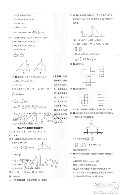 吉林教育出版社2023点拨训练九年级数学下册人教版参考答案