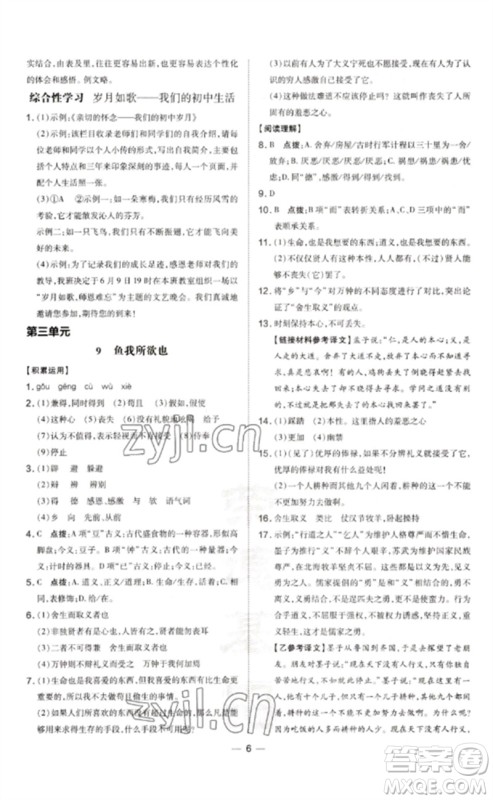 吉林教育出版社2023点拨训练九年级语文下册人教版参考答案