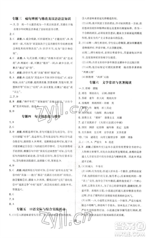 吉林教育出版社2023点拨训练九年级语文下册人教版参考答案