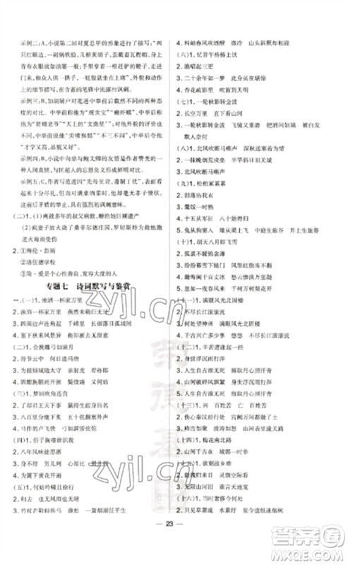 吉林教育出版社2023点拨训练九年级语文下册人教版参考答案 吉林教育出版社2023点拨训练九年级语文下册人教版参考答案