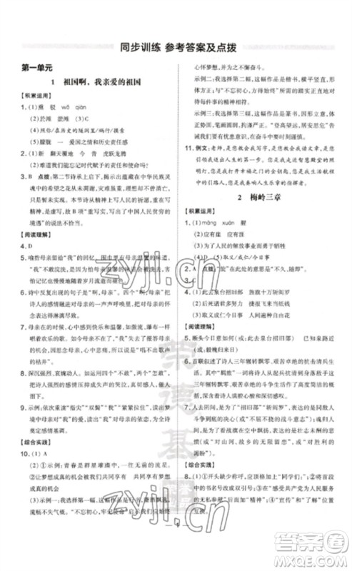 安徽教育出版社2023点拨训练九年级语文下册人教版安徽专版参考答案