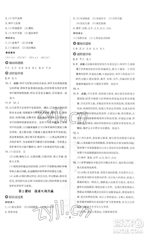 吉林教育出版社2023点拨训练九年级道德与法治下册人教版参考答案