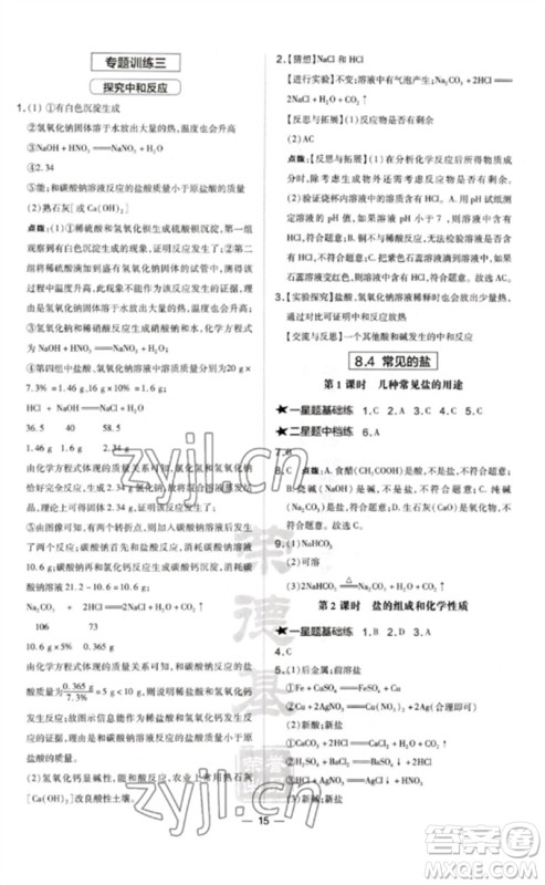 山西教育出版社2023点拨训练九年级化学下册科粤版参考答案