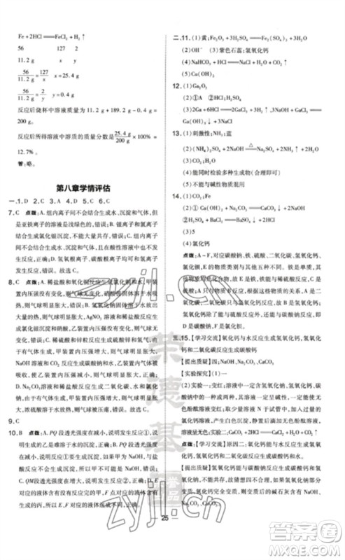 山西教育出版社2023点拨训练九年级化学下册科粤版参考答案