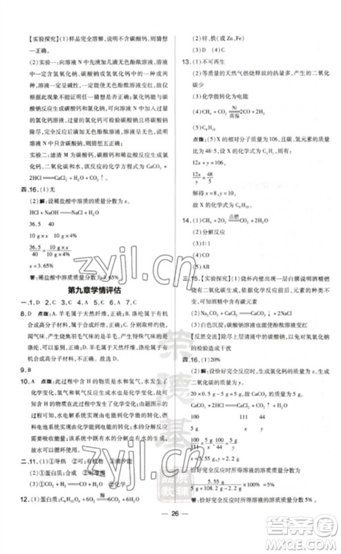 山西教育出版社2023点拨训练九年级化学下册科粤版参考答案