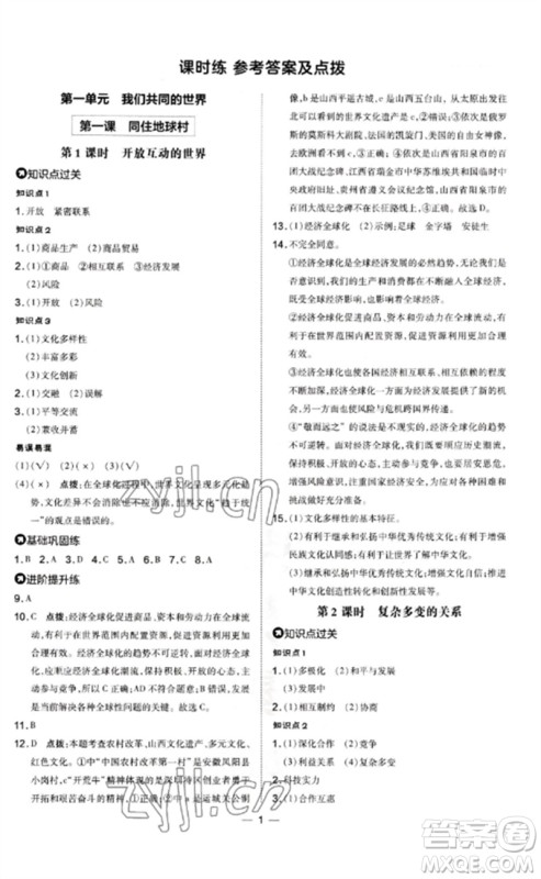 安徽教育出版社2023点拨训练九年级道德与法治下册人教版山西专版参考答案