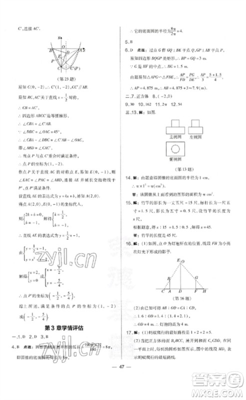 山西教育出版社2023点拨训练九年级数学下册湘教版参考答案