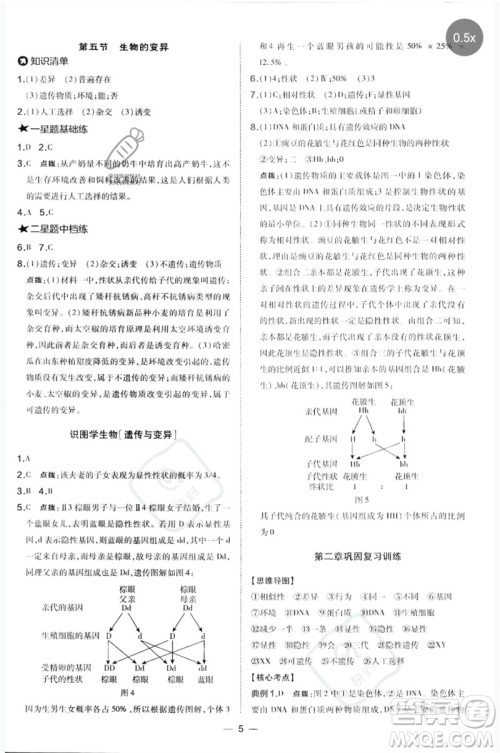 吉林教育出版社2023点拨训练八年级生物下册人教版参考答案