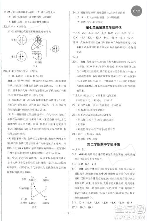 吉林教育出版社2023点拨训练八年级生物下册人教版参考答案