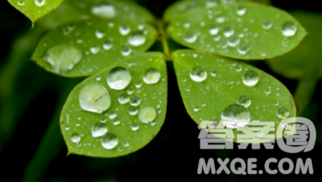 我看到了春天为题作文600字 关于我看到了春天为题目的作文600字 我看到了春天为题作文600字 关于我看到了春天为题目的作文600字