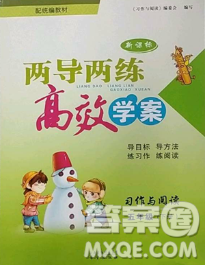 希望出版社2023新课标两导两练高效学案习作与阅读五年级下册语文人教版参考答案