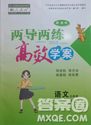 希望出版社2023新课标两导两练高效学案六年级下册语文人教版参考答案