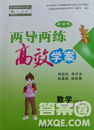 希望出版社2023新课标两导两练高效学案六年级下册数学人教版参考答案