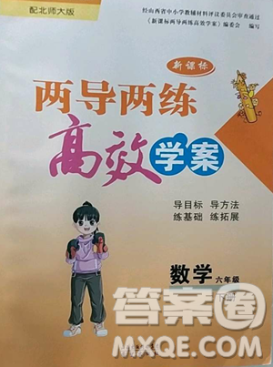 希望出版社2023新课标两导两练高效学案六年级下册数学北师大版参考答案